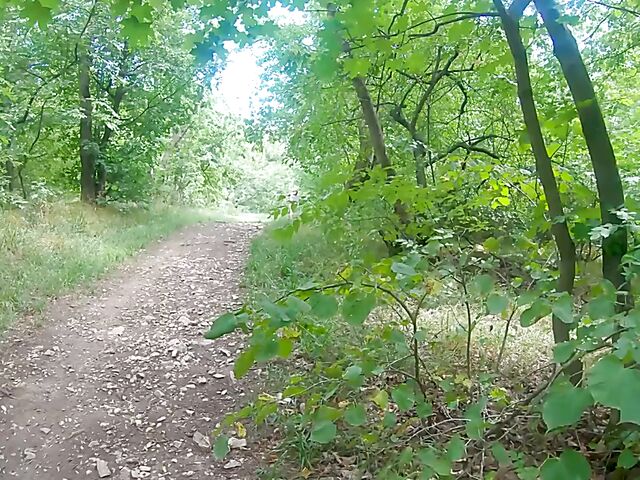 Outdoor sex in the forest with horny nudist Mia Rose