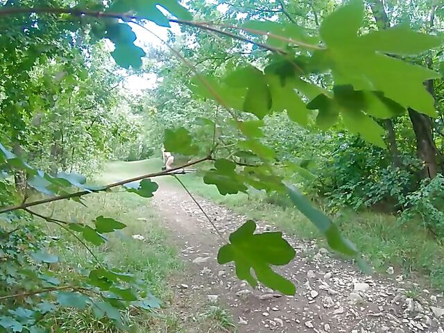 Outdoor sex in the forest with horny nudist Mia Rose