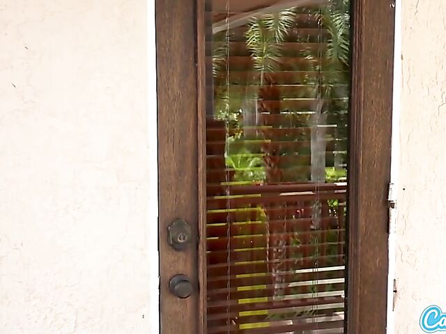 AJ Applegate - Bikini MILF BBC interracial adventure