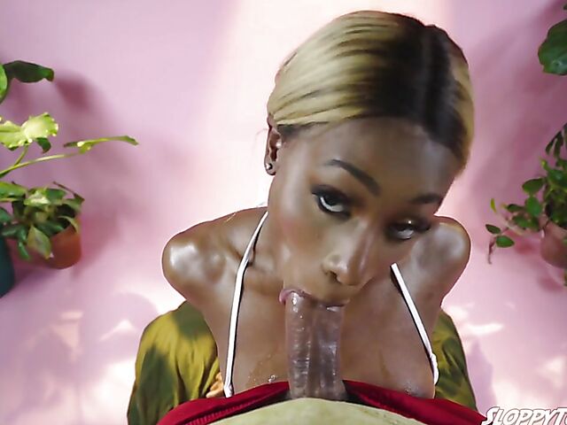 Kinsley Karter - Classy ebony blowjob POV