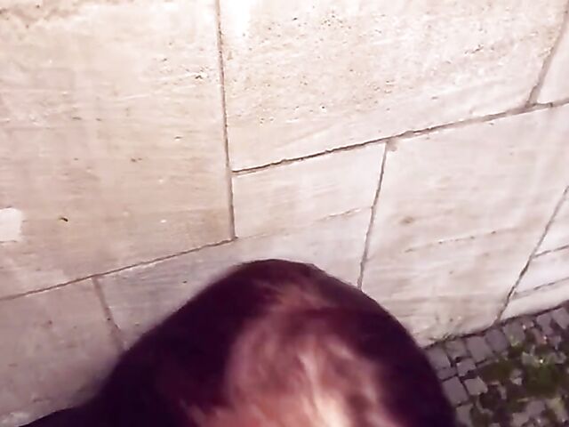 German pornstar Jolee Love sucks and fucks in POV