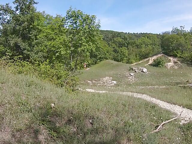 Natural busty sunbather Sofia Lee gets picked up and anal fucked by Porno Dan