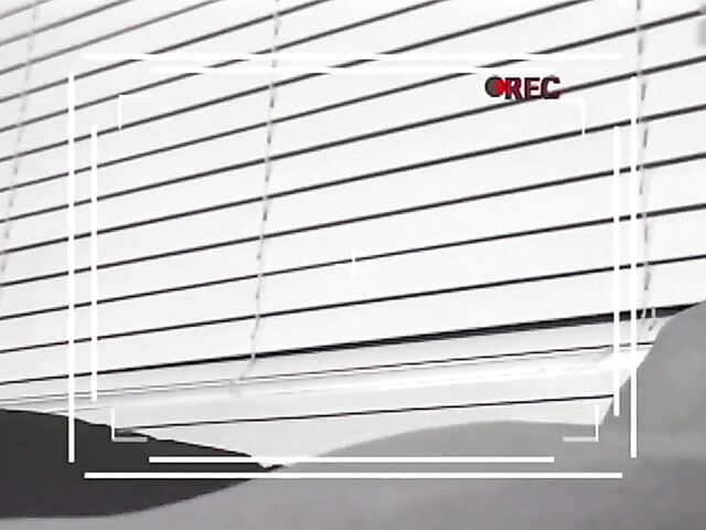 Cheyenne Silver, Chennin Blanc, Dayton Rains and Danielle Dynamite will take you back to 2001 in Inside Sex 2