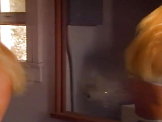 Ralph Parfait's classic porn movie Oral Obsession (1994) starring Kaitlyn Ashley, Dyanna Lauren and Janine Lindemulder