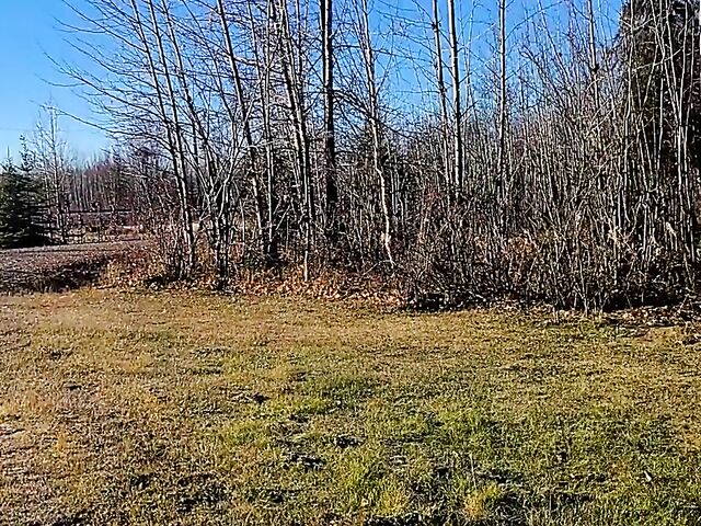 Katie Kush and AKGingersnaps Alaska road trip and lesbian sex