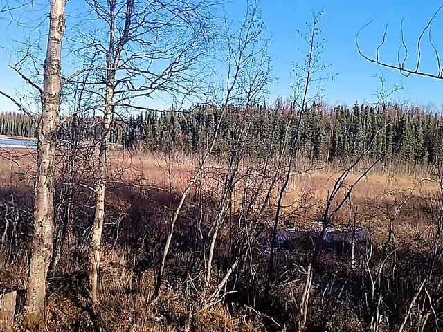 Katie Kush and AKGingersnaps Alaska road trip and lesbian sex