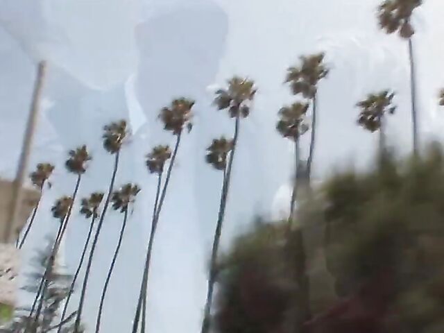 Savanna's Anal Gangbang (2010) starring Savanna Samson,  Claire Dames, Bridgette B and Kagney Linn Karter