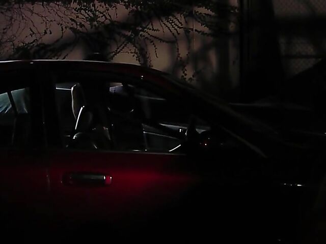 Savanna Samson Is The Masseuse (2008) with Jennifer Dark and Holly Sampson