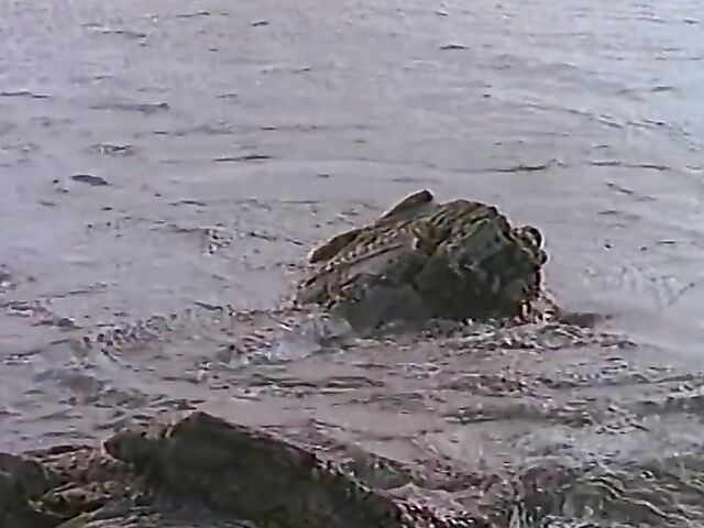 Wild outdoor sex with Stephanie Swift, Alexandra Silk and Deva Station in Shipwreck (1998)