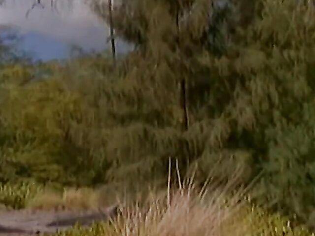 Wild outdoor sex with Stephanie Swift, Alexandra Silk and Deva Station in Shipwreck (1998)