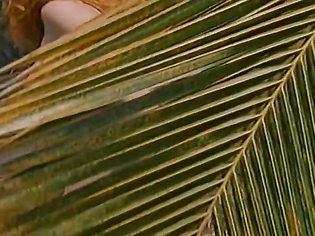 Wild outdoor sex with Stephanie Swift, Alexandra Silk and Deva Station in Shipwreck (1998)