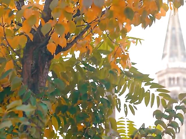 Hot German compilation by porn producer Wolf Wagner