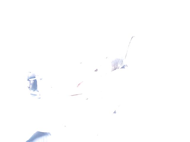 Explicit nude art photoshoot with Venezuelan model Clau