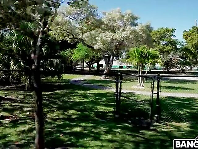 Kourtney Kai gets picked up and fucked in the Bang Van