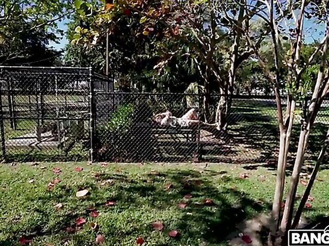 Kourtney Kai gets picked up and fucked in the Bang Van