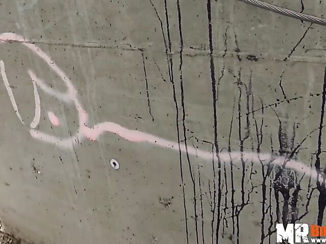 Outdoor sex next to railroad tracks with slutty Black Sophie