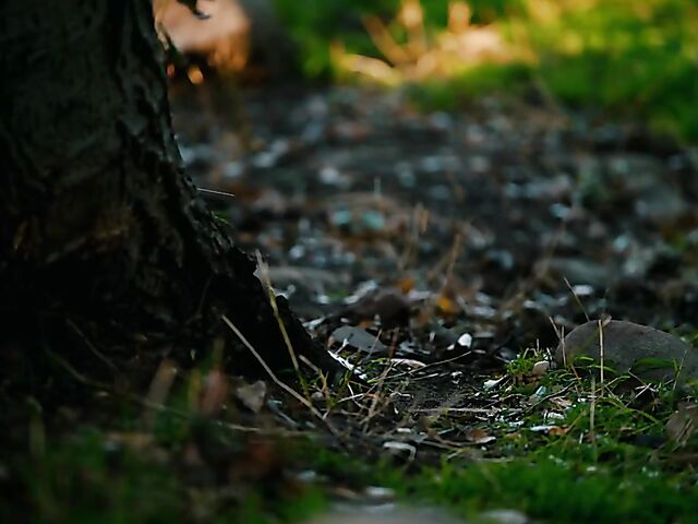 Lesbian threesome in the middle of the kitchen with Jillian Janson, Karlee Grey and Kylie Le Beau