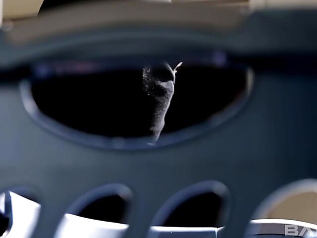 Gorgeous MILF with perfect tits Kagney Linn Karter fucks the burglar