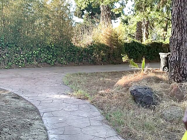 Pikachu cosplay anal with teen Hannah Hawthorne