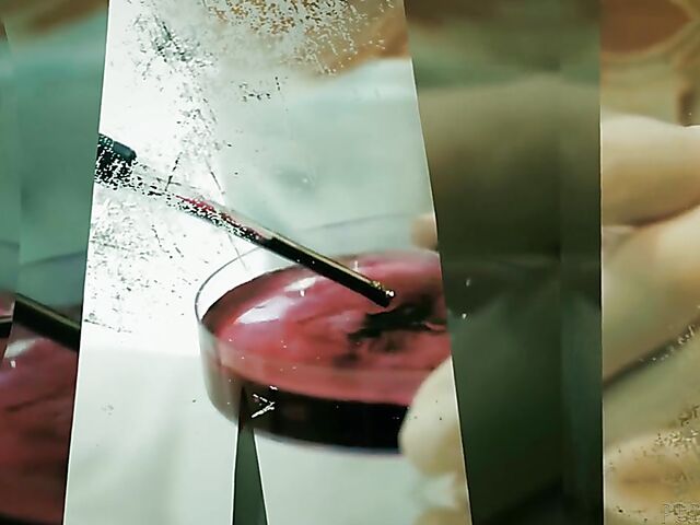 Lola Fae - Fully clothed sex is a safe way to fuck during the pandemic