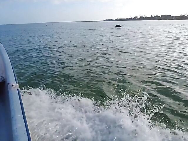 Beach solo with beautiful Asian babe Irene Rouse