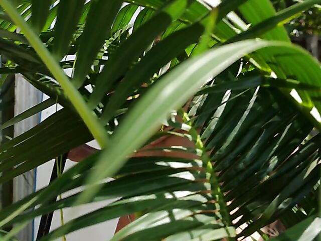 Exotic bikini babe Hanna Le gets nude in the garden