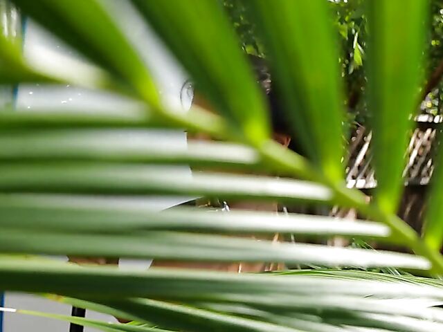 Exotic bikini babe Hanna Le gets nude in the garden