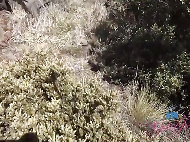 Virtual POV adventure with exotic girlfriend Alexia Anders