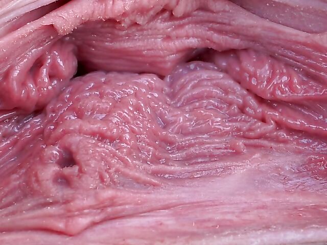 Asdis Loren - Extreme pussy close up in the public place