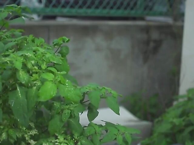 Skinny Japanese teacher Iroha Natsume gets pounded at school