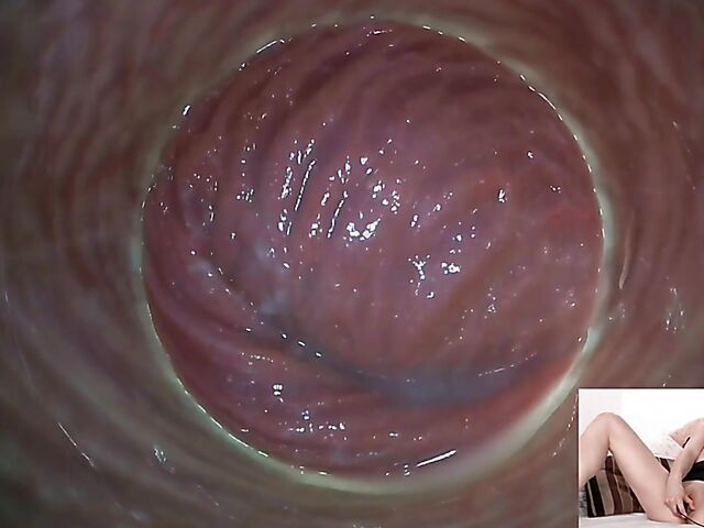 Lily Joy - Close up pussy inspection with a camera