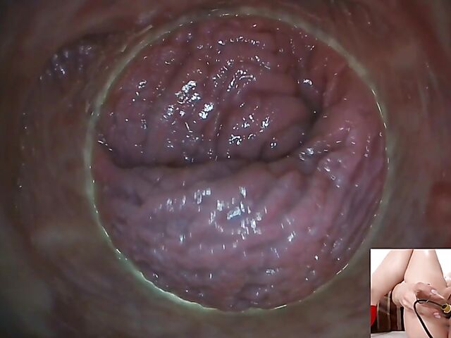 Lily Joy - Close up pussy inspection with a camera