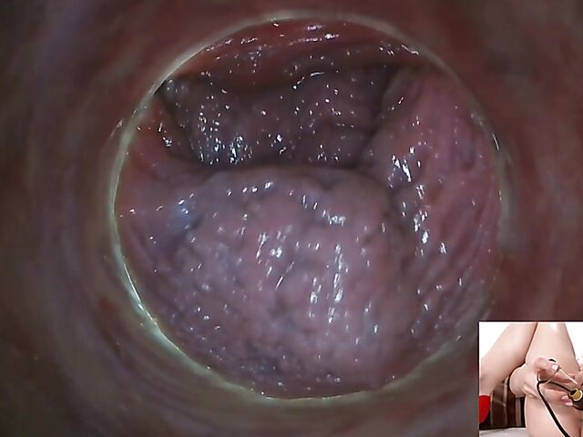 Lily Joy - Close up pussy inspection with a camera