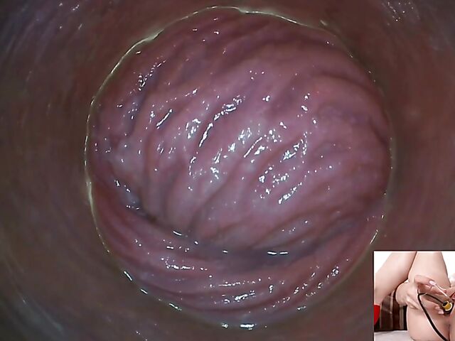 Lily Joy - Close up pussy inspection with a camera