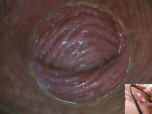 Lily Joy - Close up pussy inspection with a camera