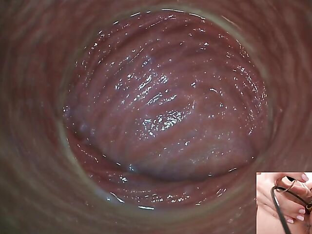 Lily Joy - Close up pussy inspection with a camera