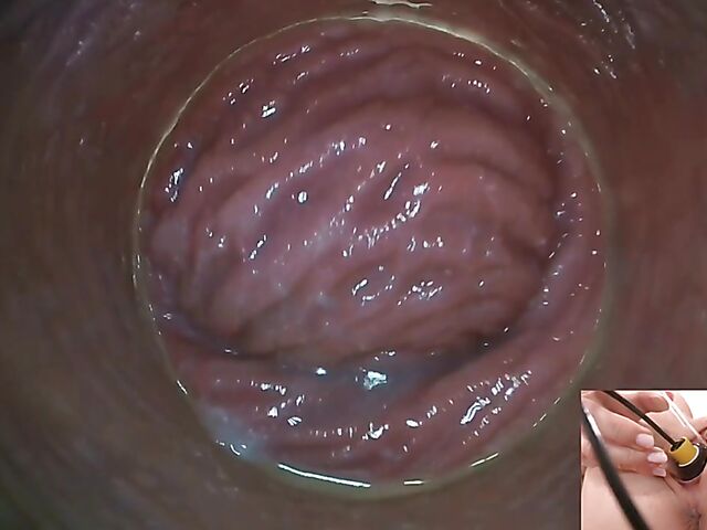 Lily Joy - Close up pussy inspection with a camera