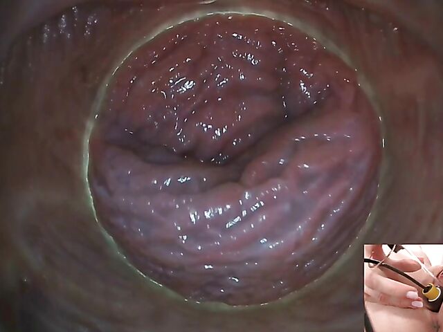 Lily Joy - Close up pussy inspection with a camera