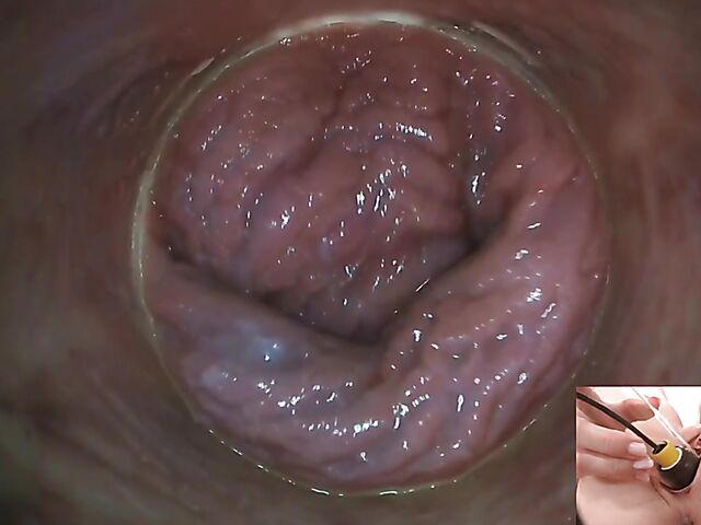 Lily Joy - Close up pussy inspection with a camera