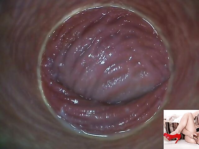 Lily Joy - Close up pussy inspection with a camera