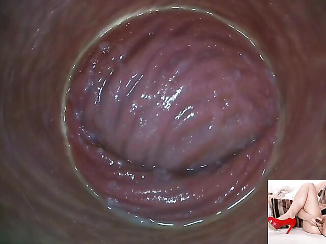 Lily Joy - Close up pussy inspection with a camera