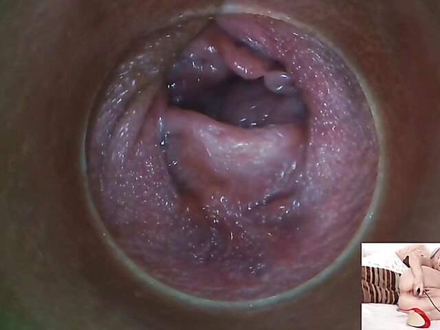 Lily Joy - Close up pussy inspection with a camera