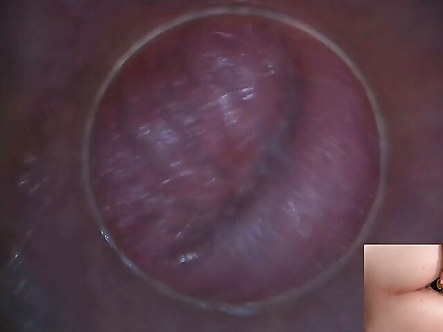 Lily Joy - Close up pussy inspection with a camera