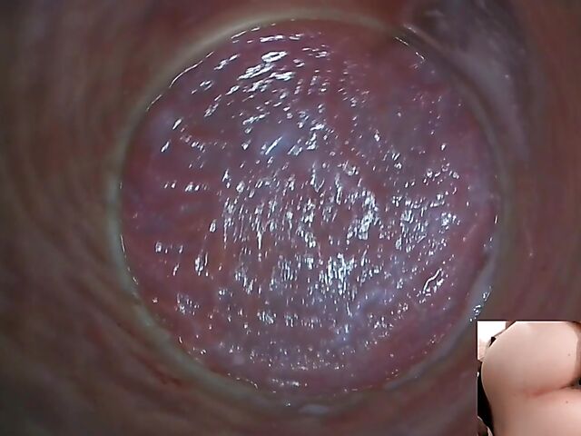 Lily Joy - Close up pussy inspection with a camera