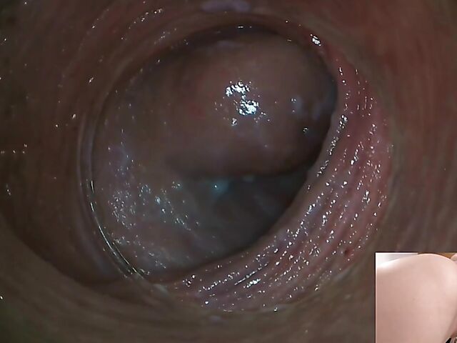 Lily Joy - Close up pussy inspection with a camera