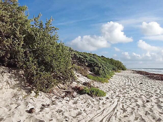 Outdoor solo with exotic Sofi Vega in Mexico