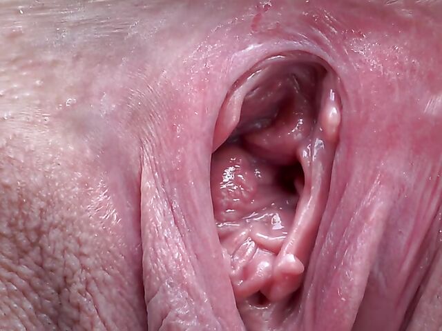 Look inside Elena Vega's widely spread pink pussy