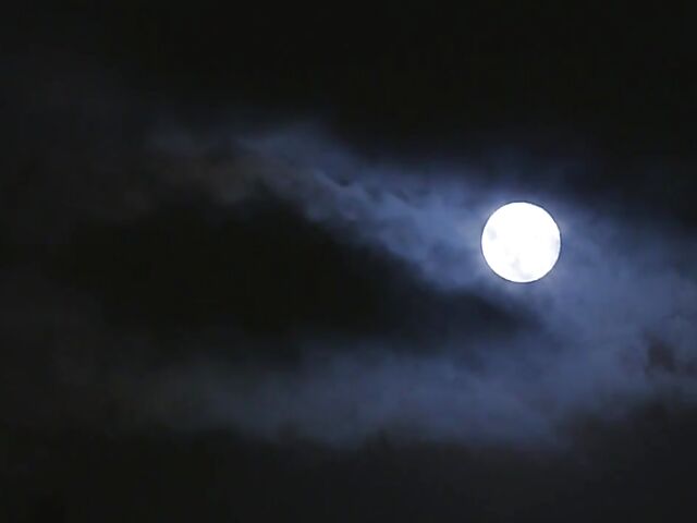 Japanese sex at the bakery with Riho Fujimori