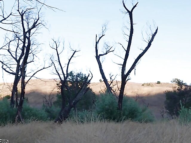 Curly ebony Jenna Foxx is a white cock addict