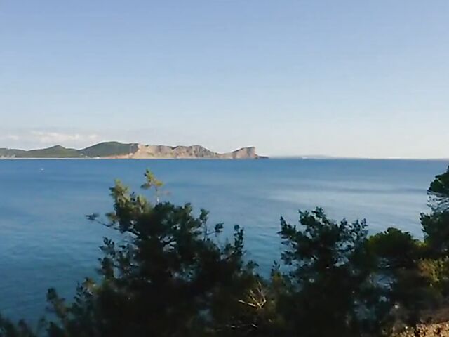 Interracial compilation of fat black cocks for white girls